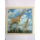 Пазл-фото в рамці "Жирафи"